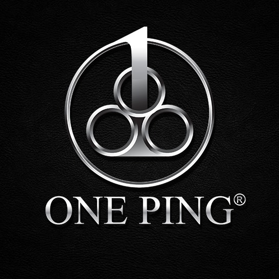 ONE PING GROUP